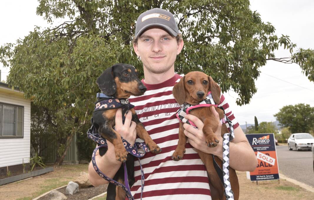 WHO LET THE DOGS OUT?: Scotty Jon Welsh has spearheaded the dachshund races at the Tamworth Paceway. Photo: Billy Jupp 