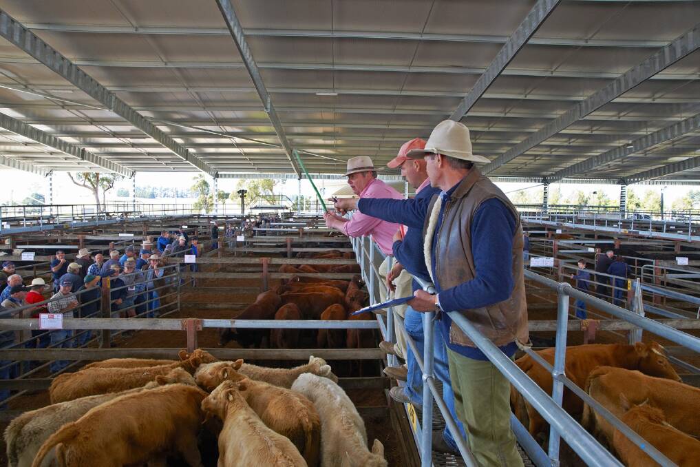 Jim Hindmarsh from the Southern Regional Livestock Exchange said a small amount of cattle had been turned away from the Moss Vale-based saleyards in recent weeks.