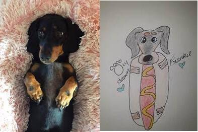 RSPCA Queensland fundraiser Poorly Drawn Pets comes to Facebook | The  Senior | Senior
