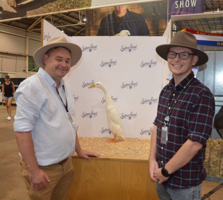 Danny Benn and Gerald Farrugia, Wollongong with their history making Indian Runner duck who was named grand champion bird of the show. 