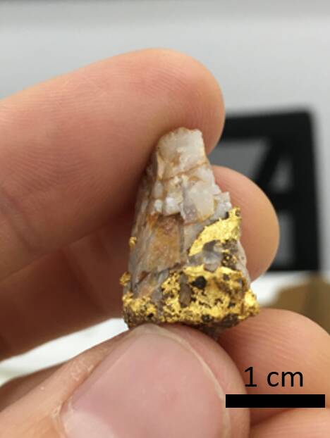 One of the three gold nuggets a prospector found. Picture: SUPPLIED