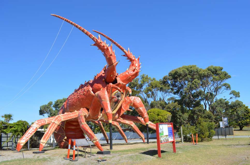 Kingston's Big Lobster. ACM file picture.