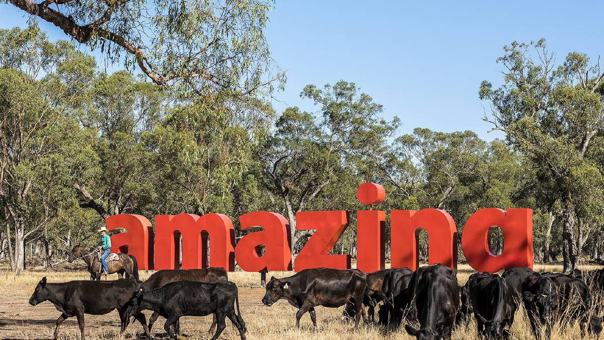 AMAZING GRAzE: Forbes has plenty of larger than life art to admire.