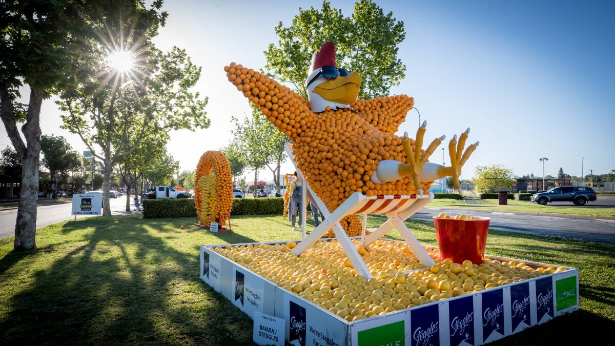 MASS A-PEEL: Griffith's distinctive citrus sculptures are a major highlight of Spring Fest.