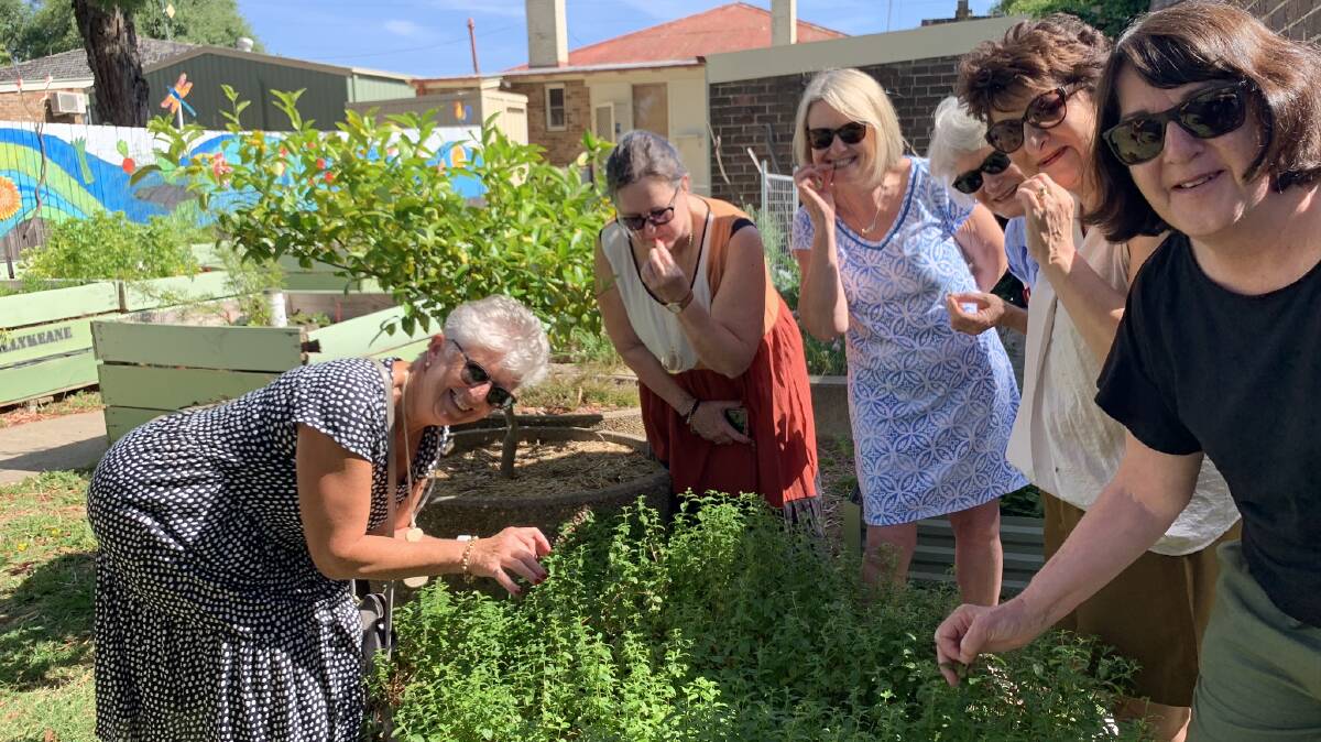 BUSH TUCKER: Visitors tasting native plants as part of the Country Food Trails indigenous food experience.