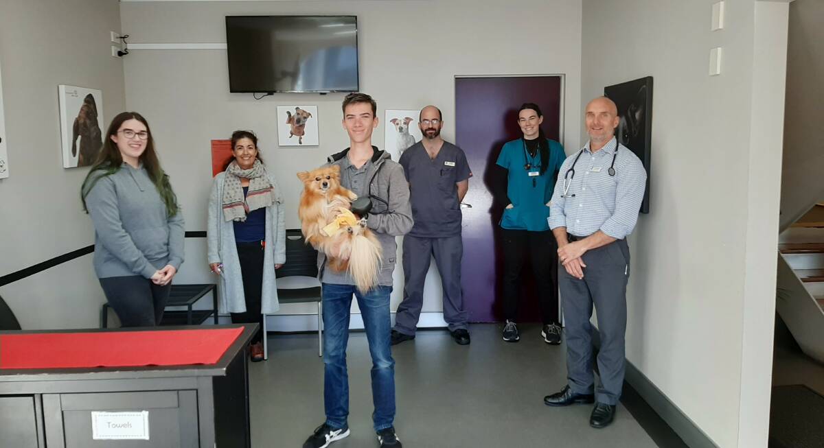 TAKE A BOW WOW: Paddy's soft tissue sarcoma was cured by an experimental new trial. Also pictured: (Front l-r): Pet owners Jade Chappell and Ryan Chappell and (Rear l-r) Perth Veterinary Specialists Dr Sarah Mitchell, oncology nurse Geoff Daniels, Dr Eleanor Windle and Dr Ken Wyatt.