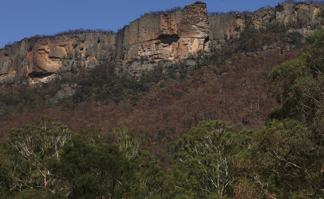 BACK IN BUSINESS: Australia's bushfire regeneration efforts have been rewarded by Lonely Planet. Photo: Emirates One&Only Wolgan Valley courtesy of Tourism Australia.