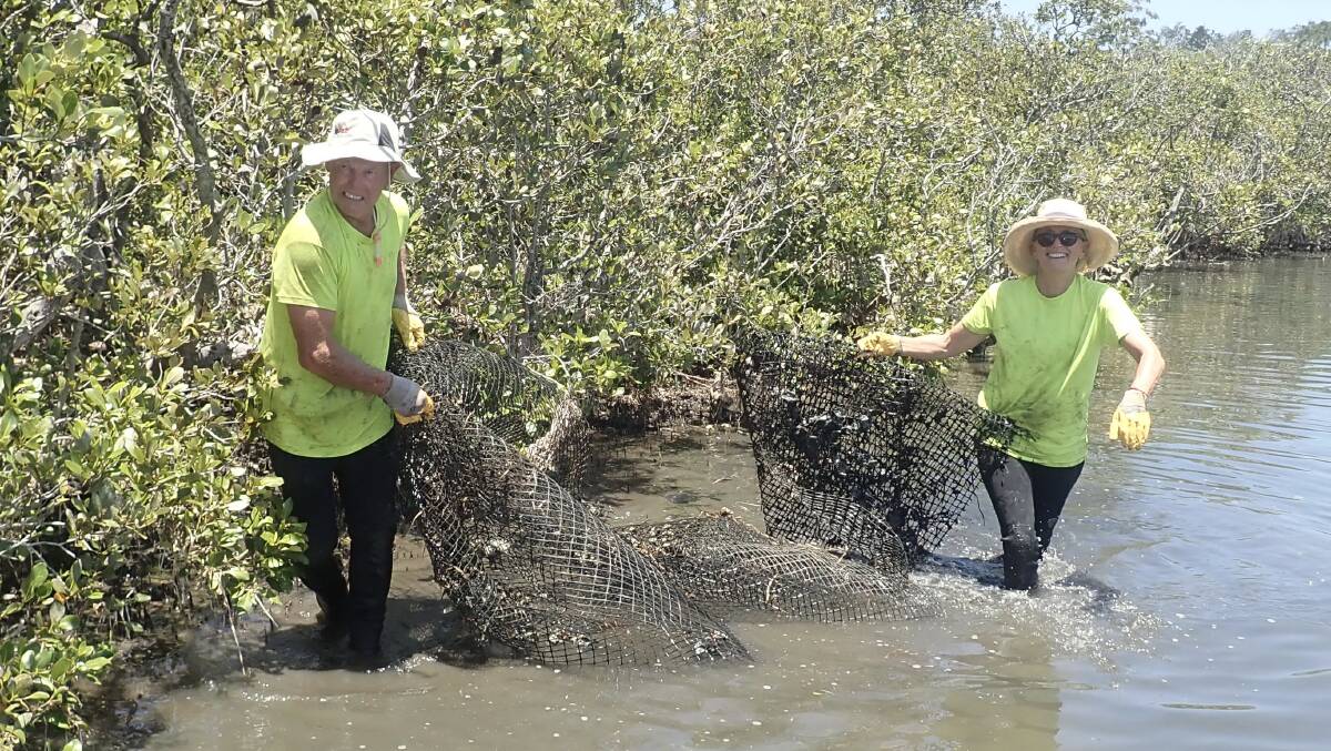 TOAST OF THE COAST: Not-for-profit group Clean4Shore received a people's choice Landcare award for cleaning up the Central Coast's waterways. Pictured: founder Graham Johnston and volunteer Edwina Parsons removing oyster product from Bensville mangroves.