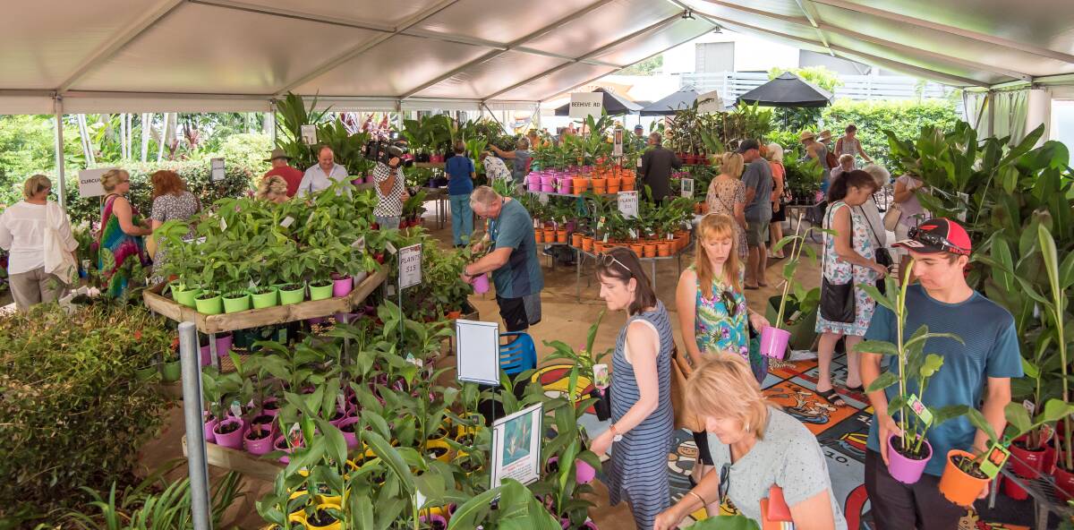 FLOWER POWER: The plant sales are always a popular attraction at the Ginger, Flower and Food Festival. 