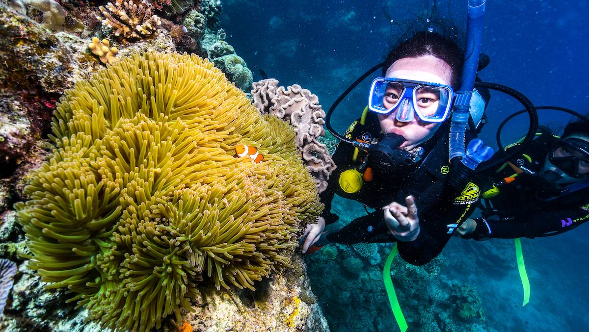 CULTURAL IMMERSION: The Welcome to Country online tourism hub offers the chance to experience stunning locations such as the outer Great Barrier Reef through the eyes of First Nations Australians through companies like Dreamtime Dive and Snorkel. Photo: Tourism Australia.