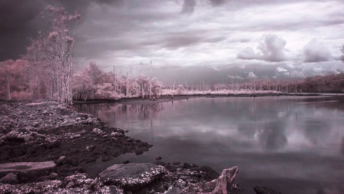 ARTISTIC FLOW: The exhibition is an artistic exploration of the engineering history and biodiversity of Manly Dam. Pictured - Yarrahapinni # 1 (still), 2019, infrared time-lapse film by Nicole Welch.