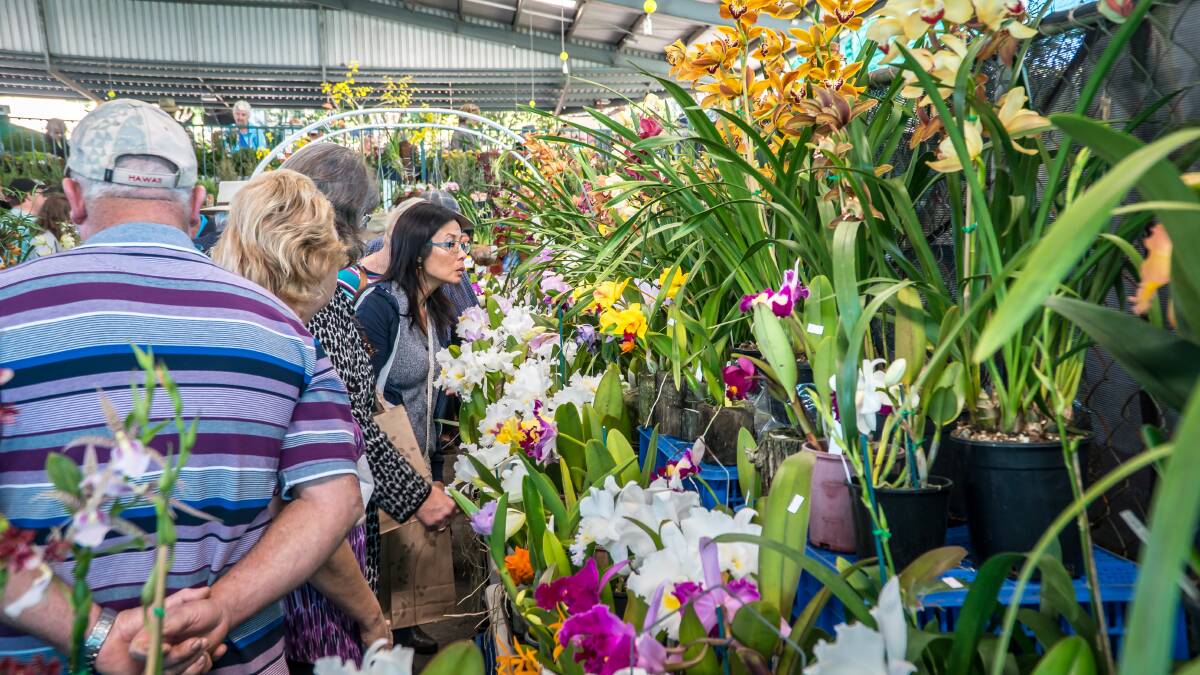 FERTILE GROUNDS: The Queensland Garden Expo is a great place for green thumbs and newcomers alike to learn some handy tips. 
