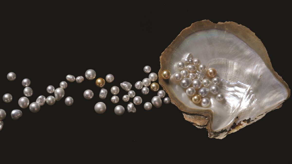 TIME TO SHINE: The Lustre: Pearling & Australia exhibition focus on the history of pearling in Australia.