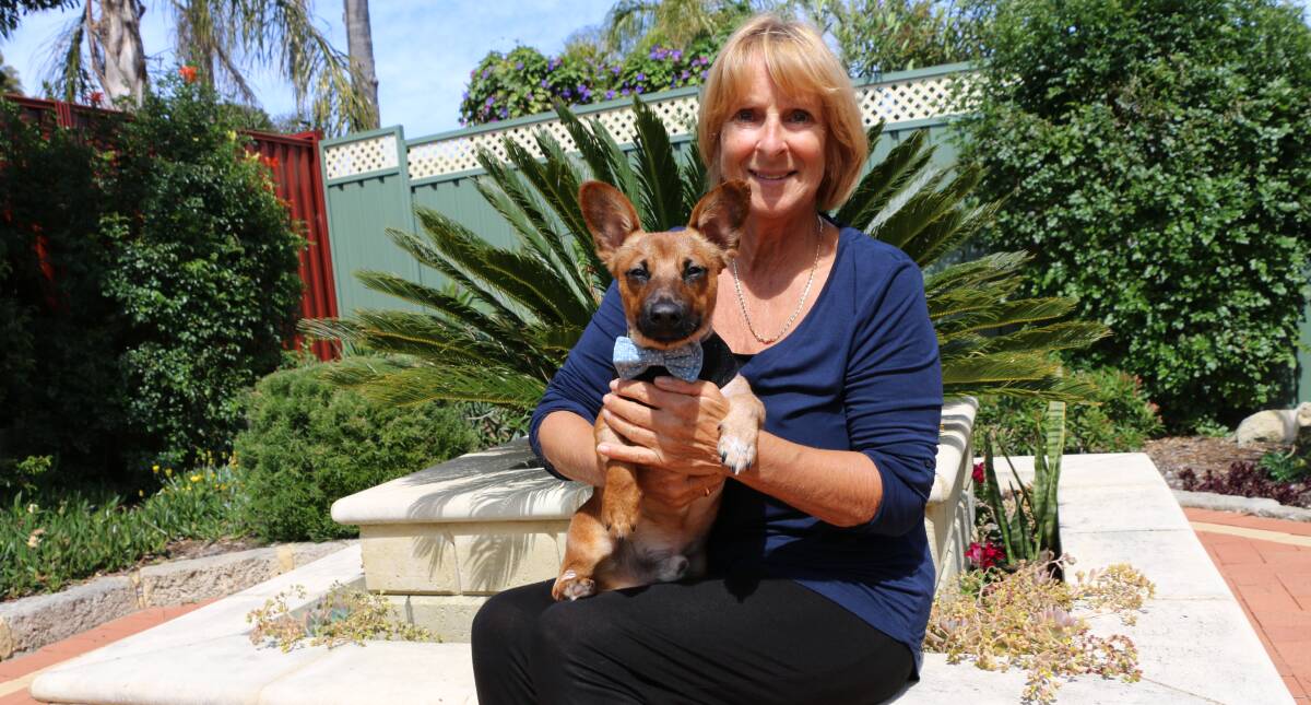 FOX AND PUP: Tricia Fox has benefitted a lot from providing temporary foster care for animals and is encouraging other seniors to do the same. 