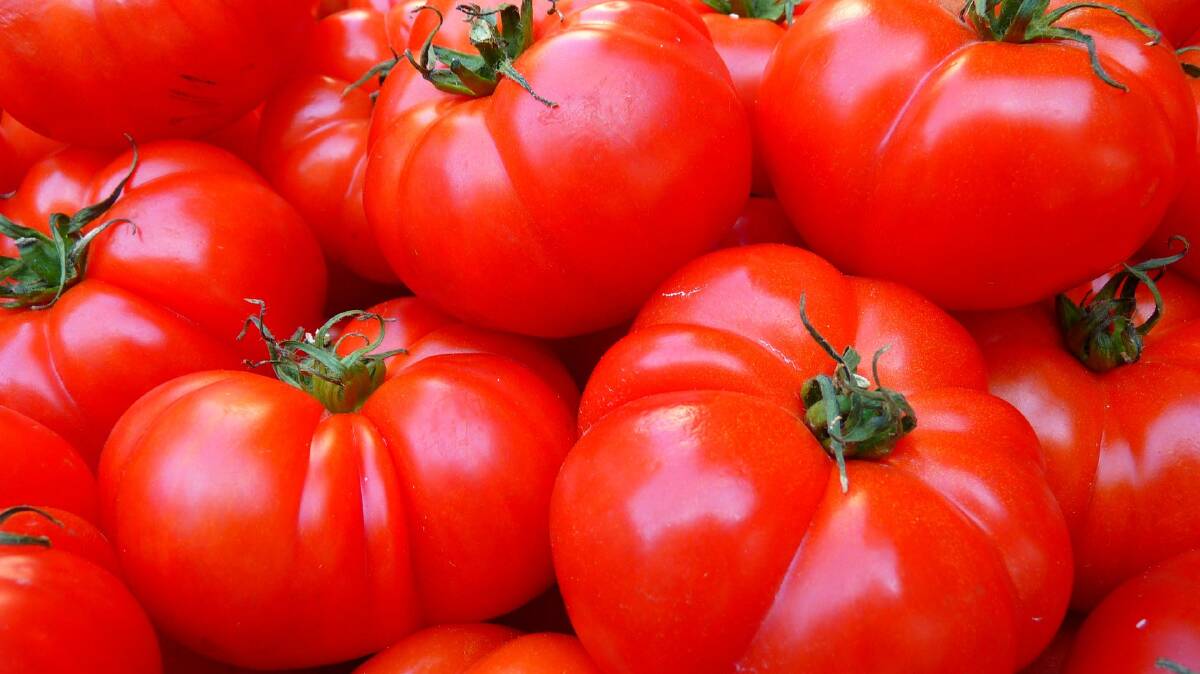 RED ALERT: Keeping tomatoes out of the fridge helps them retain flavour.