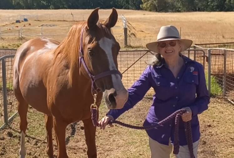 Volunteer Linda Janczyk says Riding for the Disabled helps volunteers as much as it helps people with disability. Picture supplied