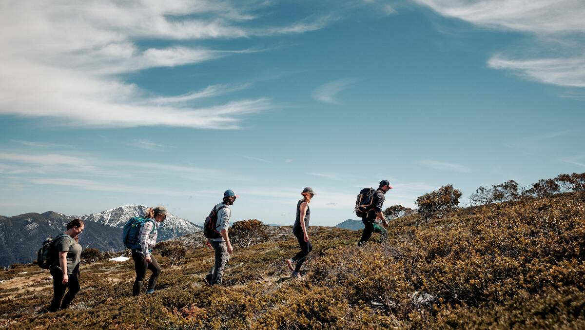 PICTURE PERFECT: Explore spectacular Mt Hotham during the Hike & Feast tour. Photo: Tourism North East