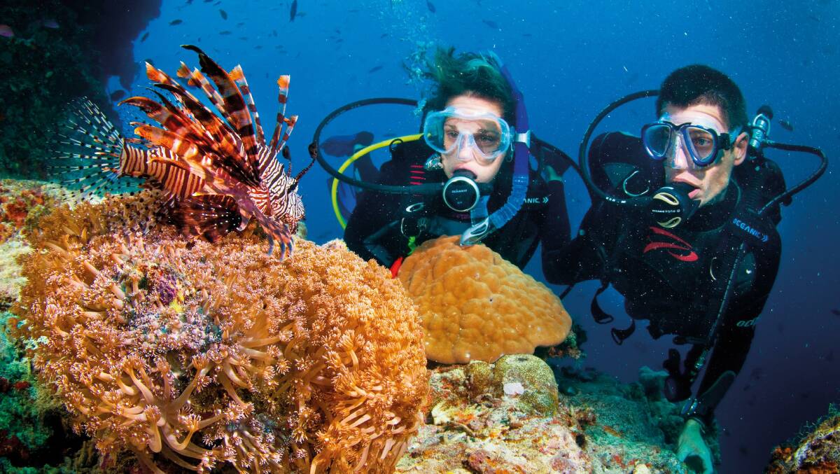 WORLD OF COLOUR: Divers up close with colourful Lionfish on Ribbon Reef in the Great Barrier Reef. Photo: Tourism Tropical North Queensland.