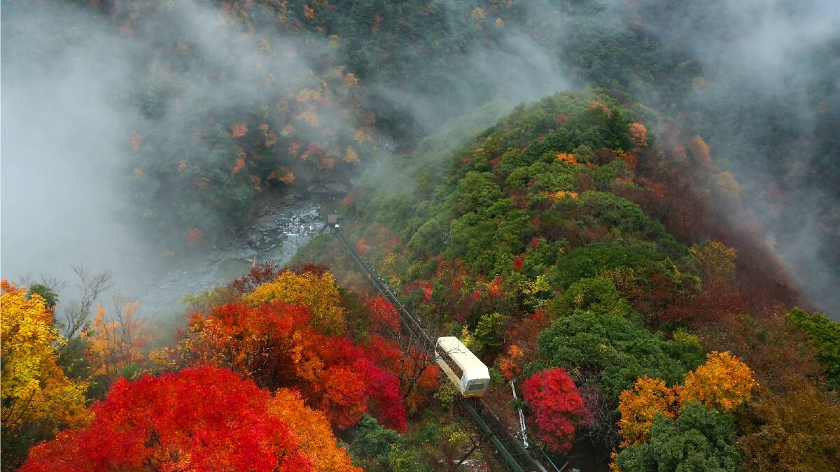The cable car taking Hotel Iyaonsen guests to the river hot springs below plunges through colourful forests in autumn. Picture: JNTO