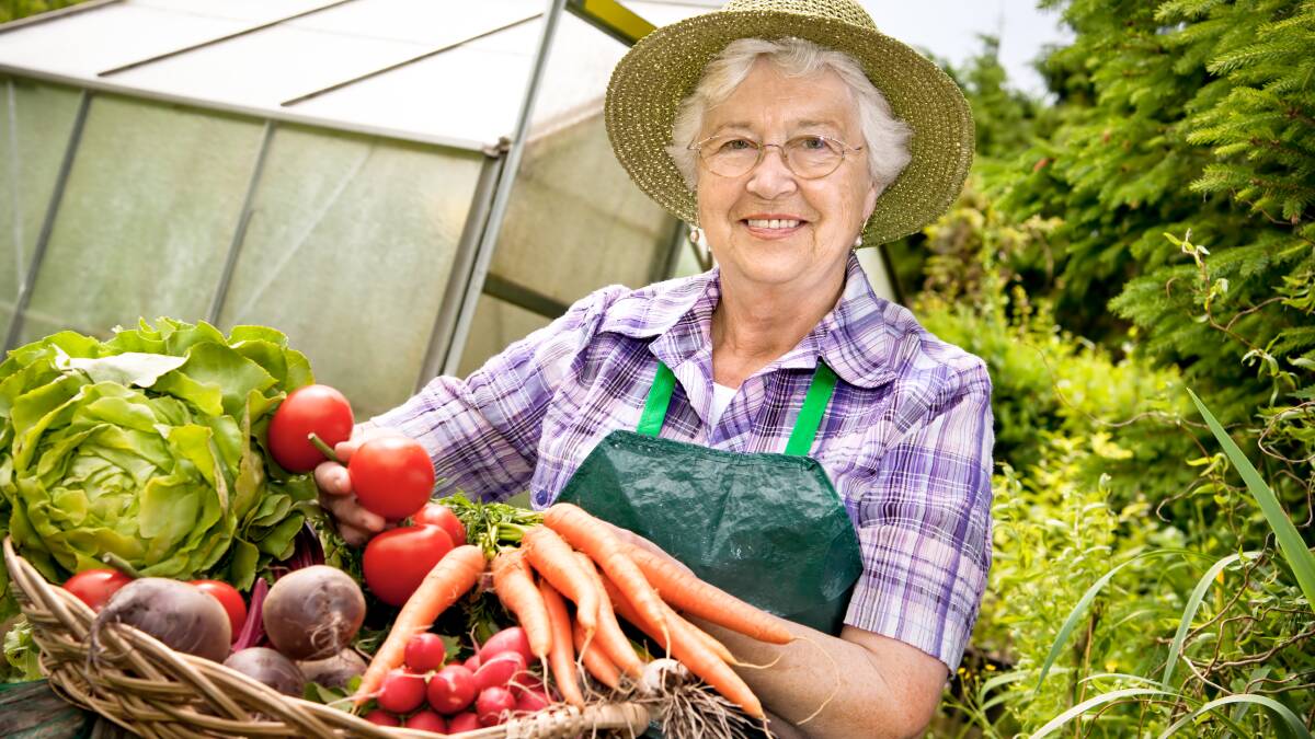 HARVEST TIME: Vegetable growing is one of a host of activities recommended in a free downloadable book for older people while social restrictions are in force.