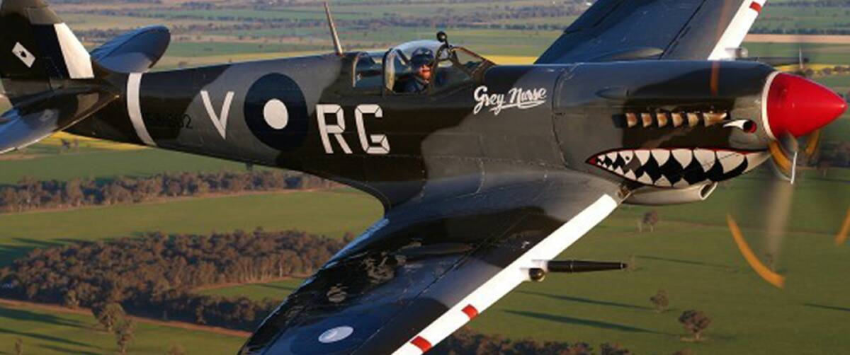 LOOKING GOOD: "Grey Nurse", a MK 8 Spitfire formerly of 457 Squadron RAAF, is part of the Temora collection.