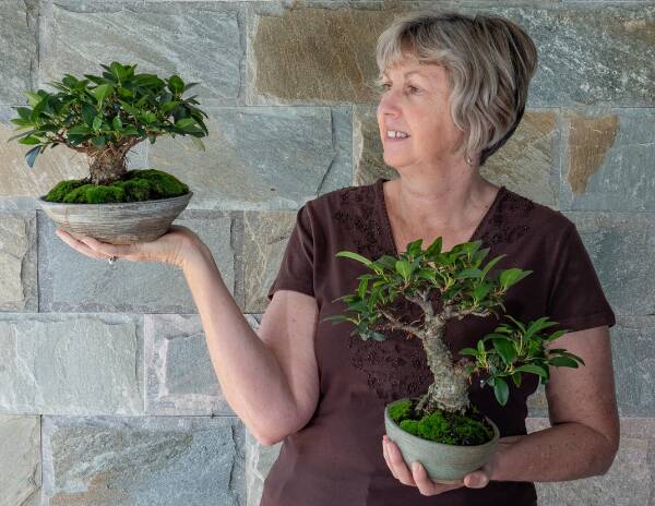 A PLEASURE TO GROW YOU: Denise Allen with bonsai figs from her garden.