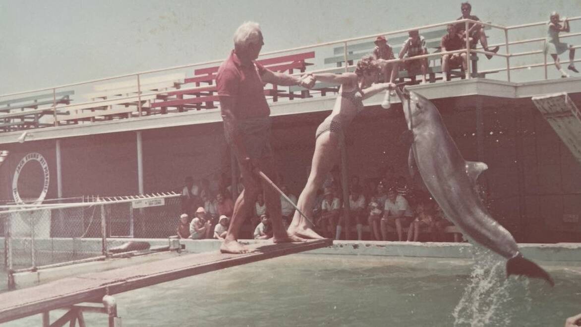  Jack Evans hangs on to the hand of Bob Lloyd's friend Robyn as she feeds Lulu the dolphin in January 1970. Picture supplied by Bob Lloyd 
