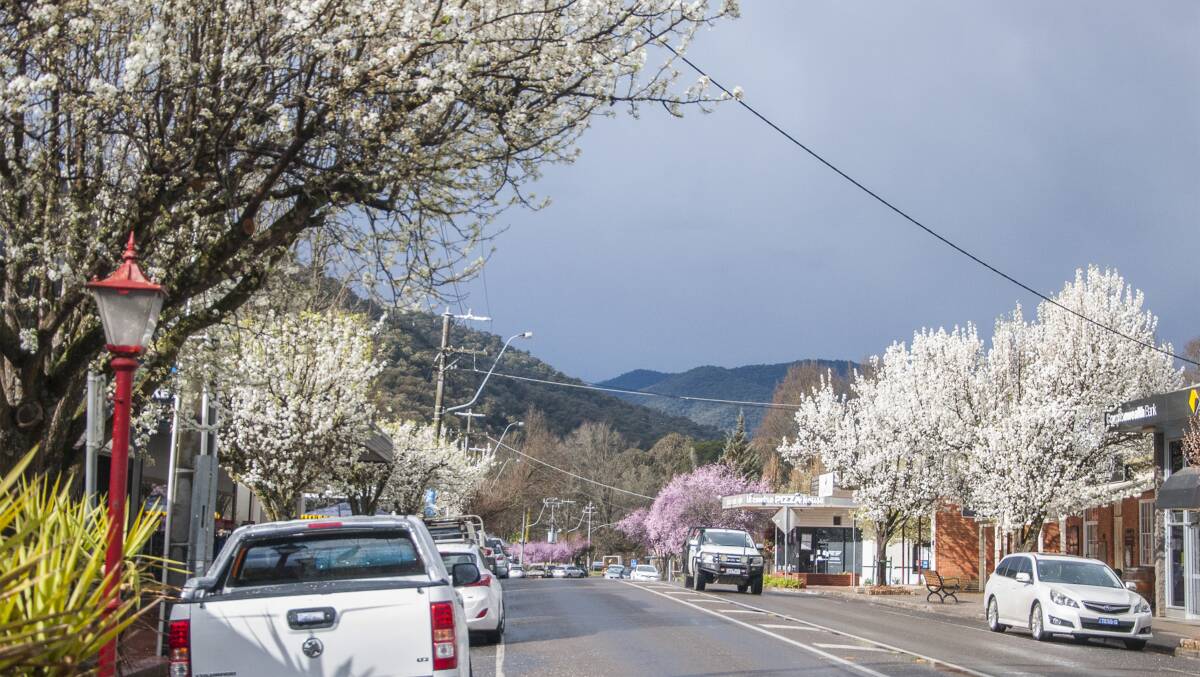WHAT A BEAUTY: Whatever time of year, Bright is one prettiest towns in Victoria.