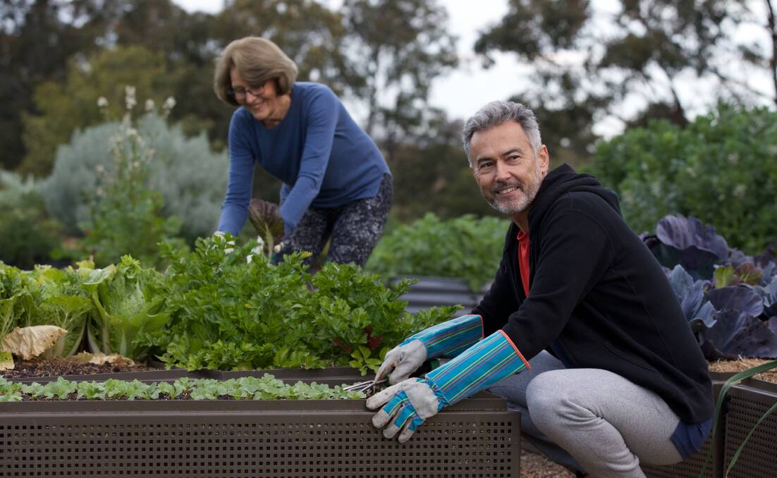 REAP WHAT YOU SOW: Gardening has many benefits apart from beautifying your home.