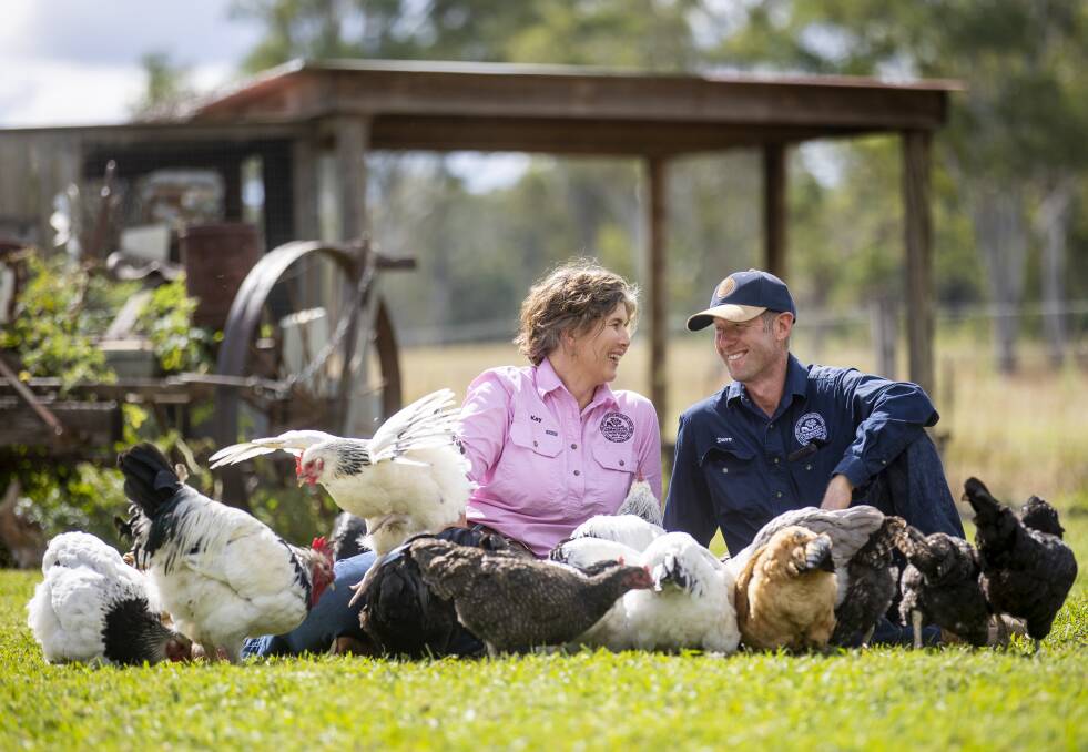 AW, CLUCKS: The poultry comes to you 