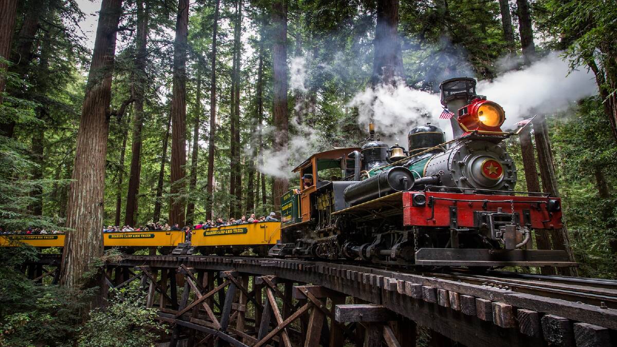 Roaring Camp's Redwood Forest Steam Train in California, USA. Picture supplied