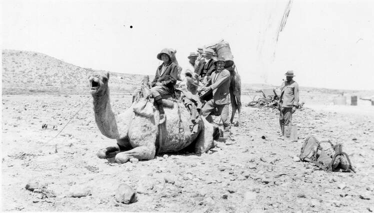 ADVENTUROUS SPIRIT: Minnie Berrington, pictured learning to ride a camel, was a trailblazer at a time when career options were few for many women. 