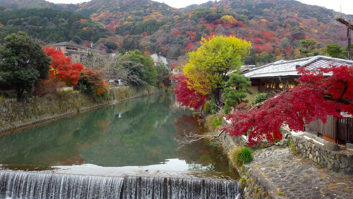BE ASTONISHED: Absorb the beauty that is Japan. especially when the flowers bloom.