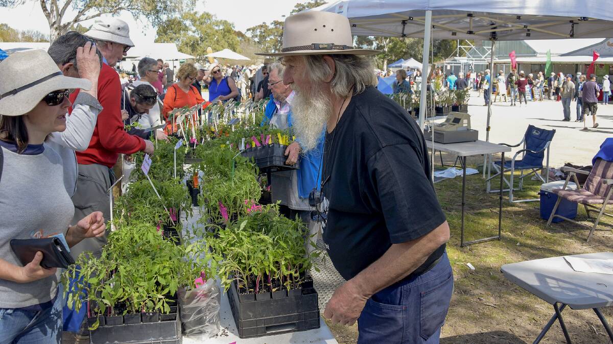 FERTILE GROUND: Scores of plants will be on sale at Mount Pleasant.