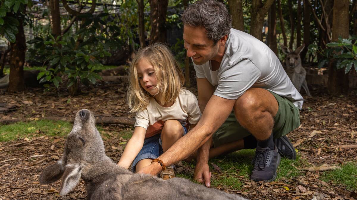 Potoroo Palace, an educational and conservation wildlife sanctuary in Merimbula, is one of the stops on the Hillcrest Motel's tour. Picture supplied by Destination NSW.