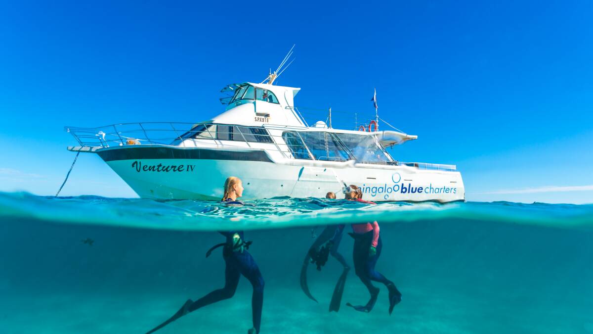 Take time to explore Ningaloo Marine Park. Picture Tourism Western Australia