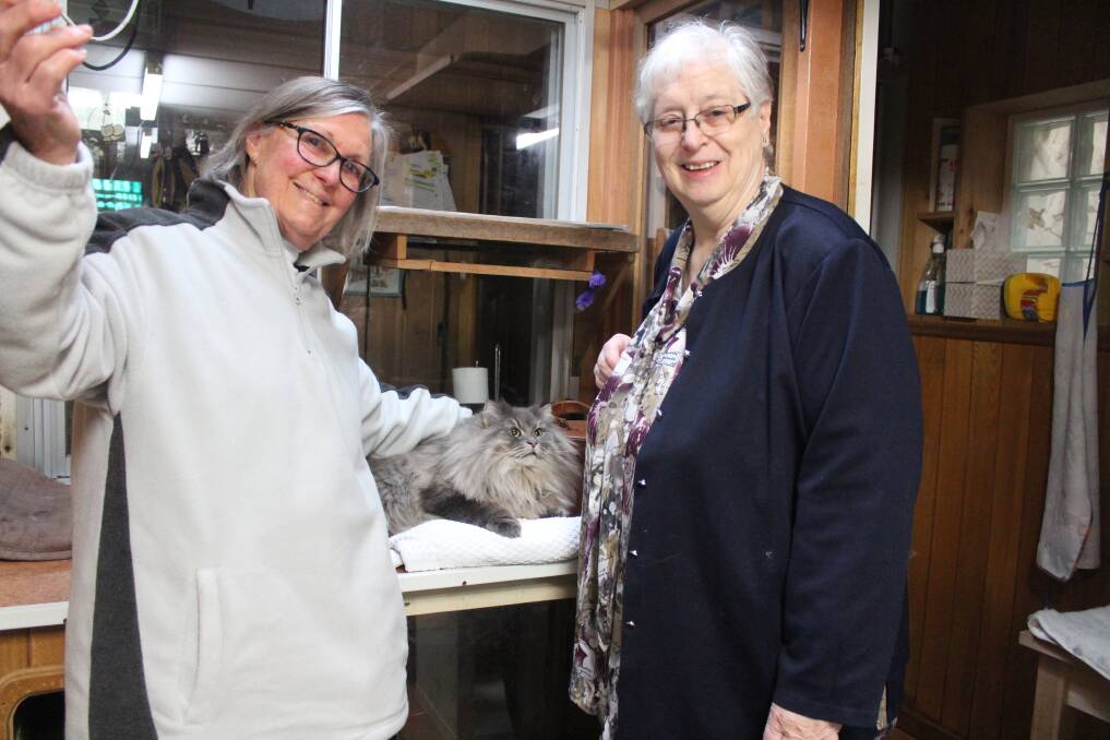 IT STARTED WITH A CAT: Judith Adams (left) and Judith Russack with show cat Stormy. The pair got to know each other in the 1970s. 