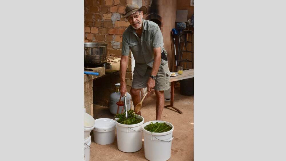 PRACTICE MAKES PERFECT: Barry Porter preparing capers at Kolophon Capers near Berri. "We did a hell of a lot of research," he says. "For the first three years all we did was experiment."