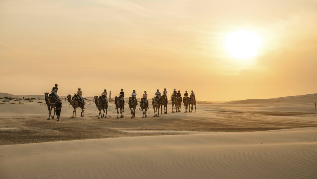 SEASIDE SAHARA: A camel ride is just one of the activities available at the Stockton sand dunes. 