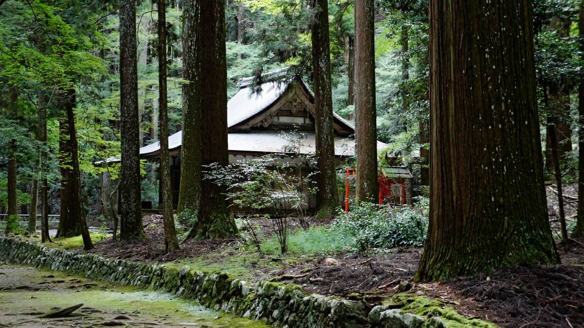 Atmospheric: Admire the lush green hills and listen to the forest sounds at Kozan-ji Temple.