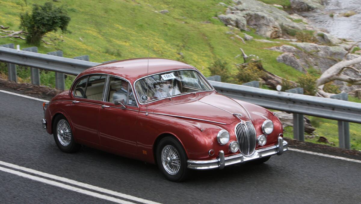 WHAT A BEAUTY: A classic Jaguar roams the road at last year's event.