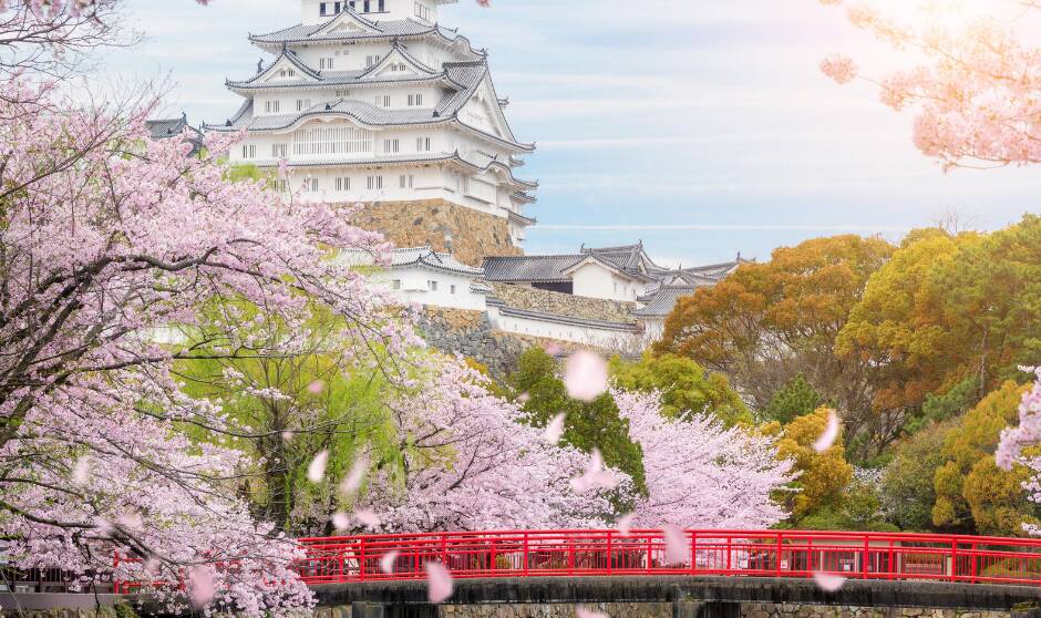 SIGHT TO SEE: Himeji Castle, just outside Kyoto, is famed for its elegant white appearance, imposing size and beauty - and of course its blossoms in spring.