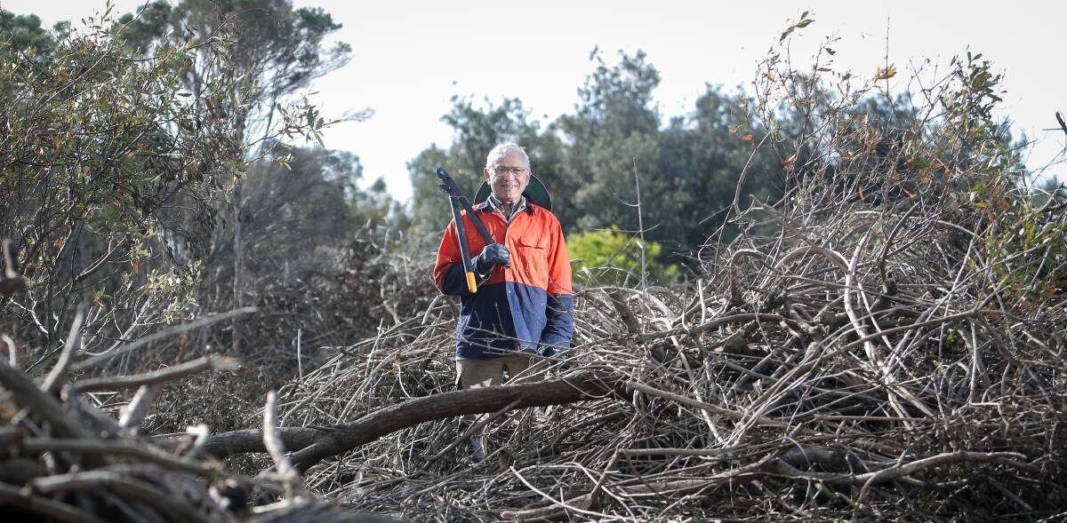 LOCAL HERO: Vasilios 'Bill' Kazepidis at Puckey's reserve in Fairy Meadow. He's made it his mission to rid the reserve of lantana, bitou bush and asparagus fern. Picture: ADAM McLEAN.