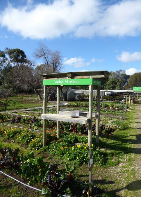 ALL SYSTEMS GROW: Visitors can choose what they like from the vegetable beds and weigh it at the weighing station.