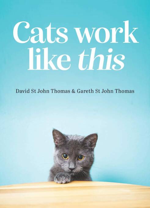 Book reviews: Fun with cats or cattle