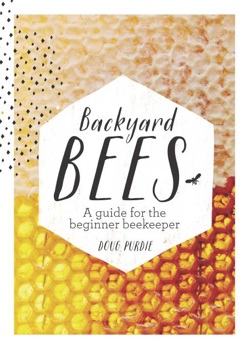 WIN: Beginner's guide to bees