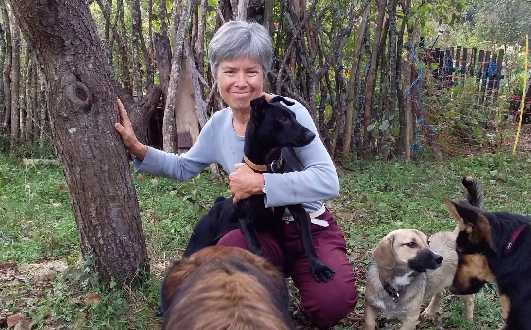 LIVING THE LIFE: Carolyn Nimmo on a farm in Croatia with some dogs who were happy to have her around. She also spent time in Slovenia and Italy.