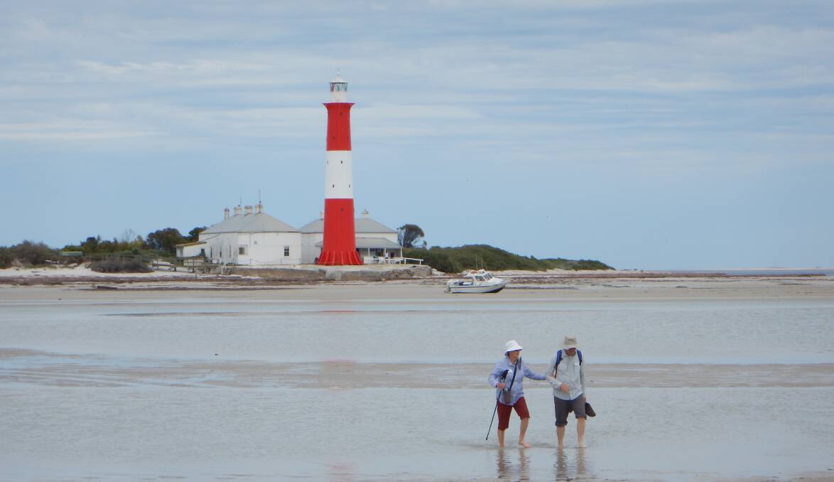 GET YOUR FEET WET: Passengers wade in the cool shallows in front of the old Troubridge Island lighthouse, first lit in 1856. Photo: Roderick Eime