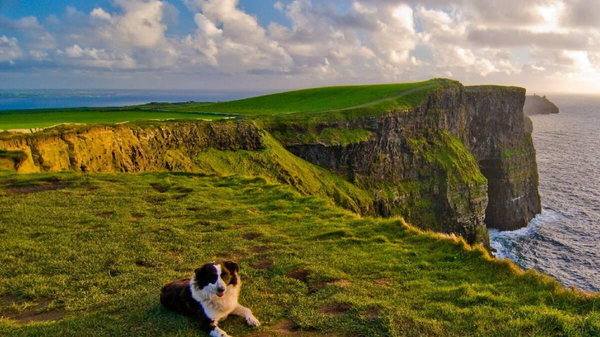 The Cliffs of Moher on County Clare's rugged coastline. Photo: Tourism Ireland