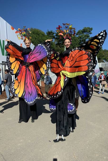 Be dazzled by colourful blooms and beautiful butterflies at the garden expo. Picture supplied